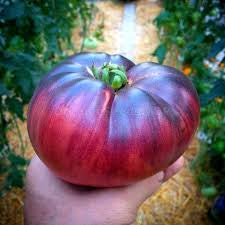 Pink Siberian Tiger tomato