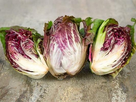 **RARE** Purple Radicchio Seeds