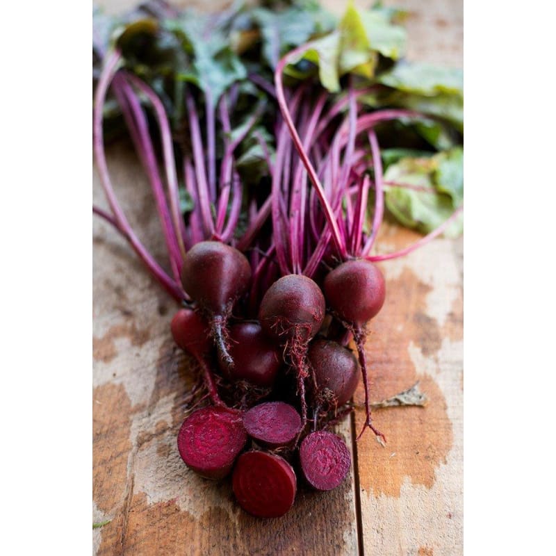 Early Wonder Beet Seeds