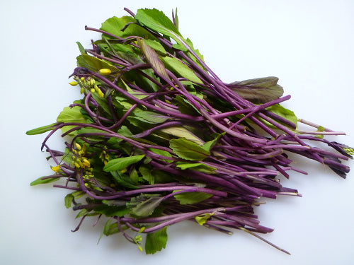**RARE** Hon Tsai Tsai Seeds