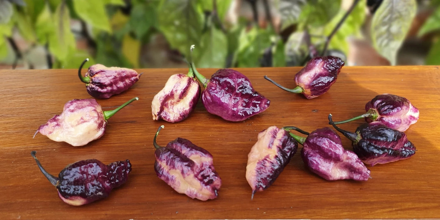 Pockmark Peach Peppers