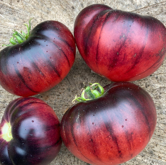 Ozark Sunrise Tomato