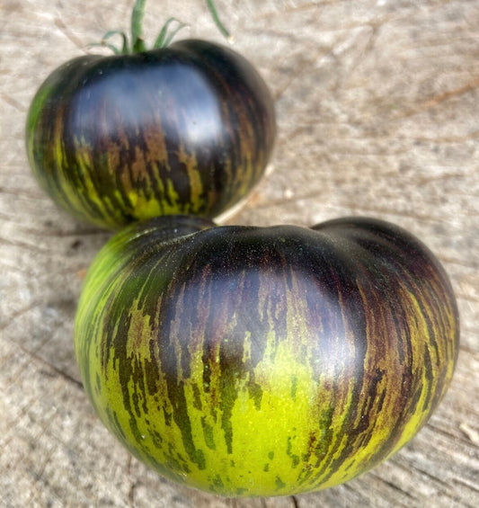 Xanadu Green Goddess Tomato