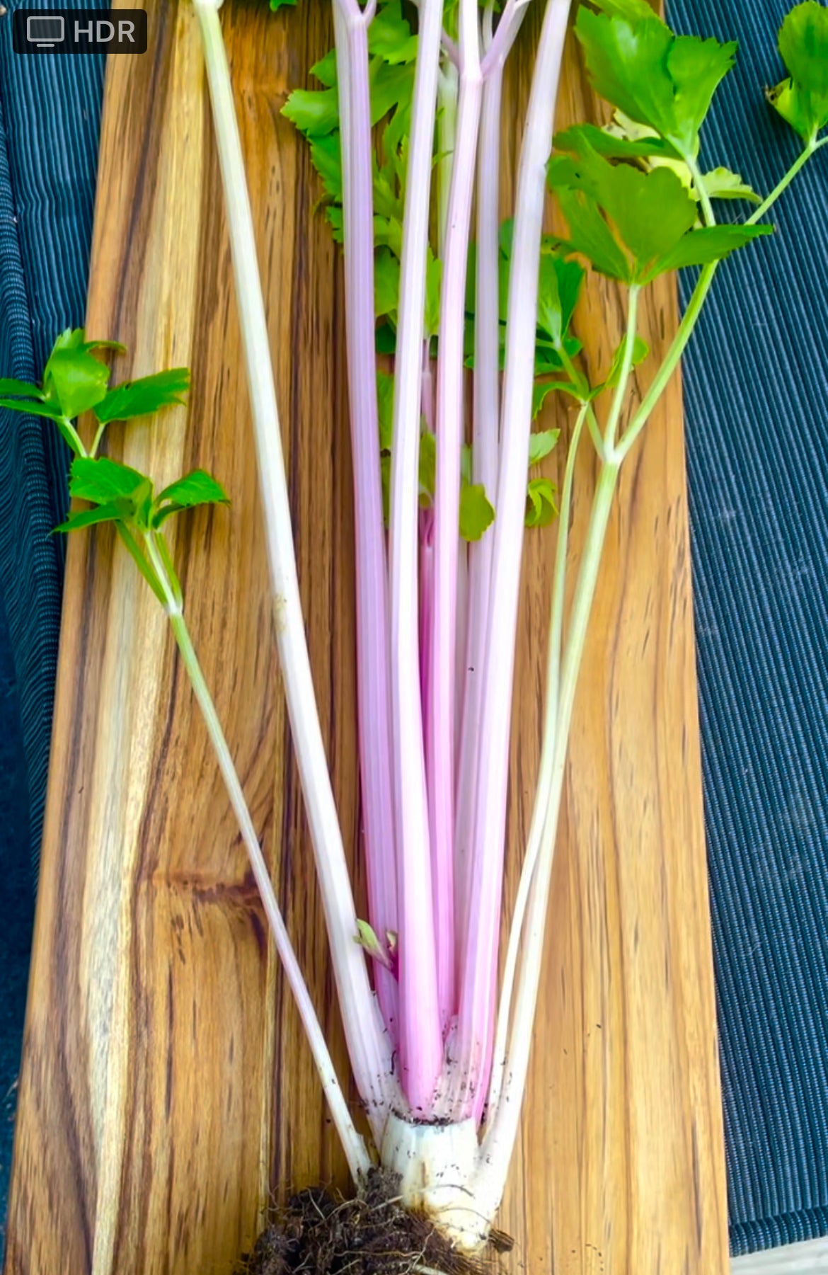 Pink Celery