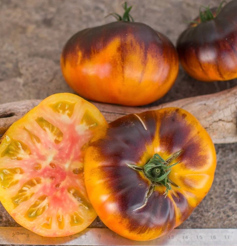 Ananas Bleu Tomato