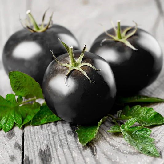 Black Bambi Tomato