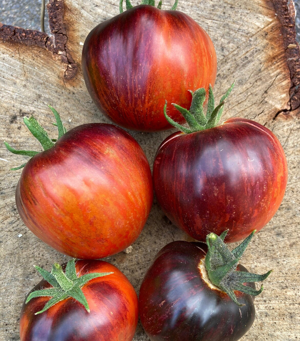 Kaleidoscopic Jewel Tomato