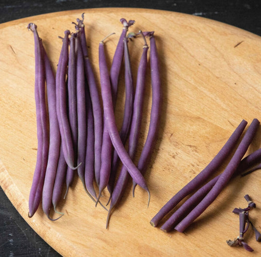 Celine Wax Bean Seeds