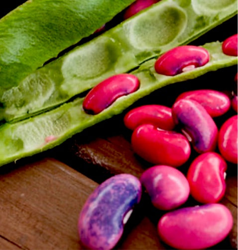 Scarlet Emperor Poll Beans