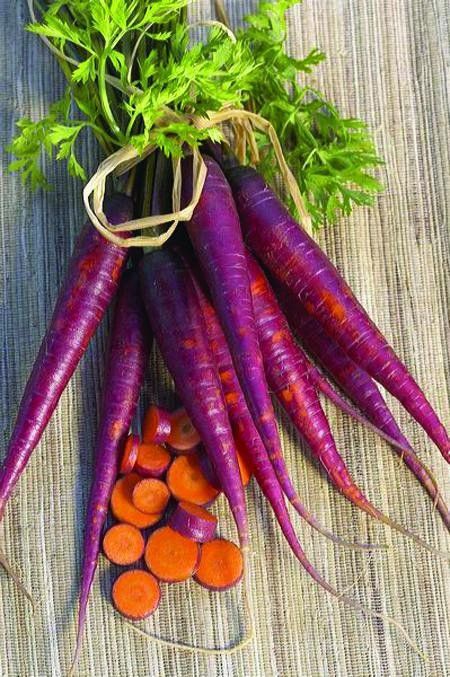 Cosmic Purple Carrot Seeds