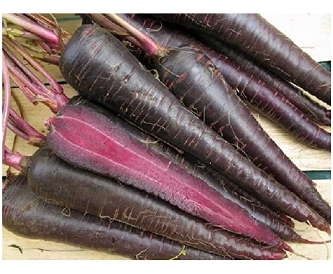 Deep Purple Carrot Seeds