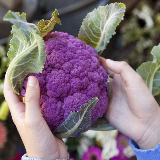 Graffiti Cauliflower Seeds