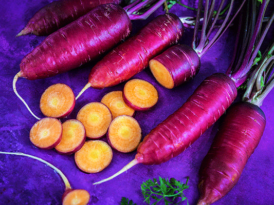 Purple Dragon Carrot Seeds