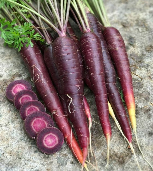 Purple Sun Hybrid Carrot Seeds