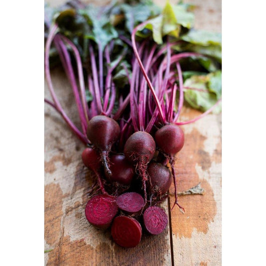 Early Wonder Beet Seeds