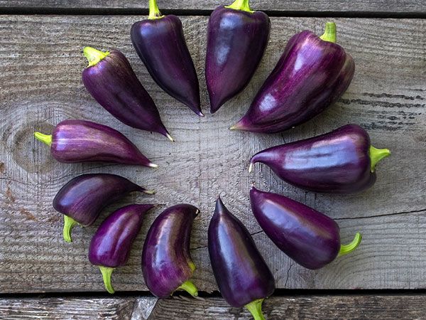 Violet Sparkle Sweet Pepper