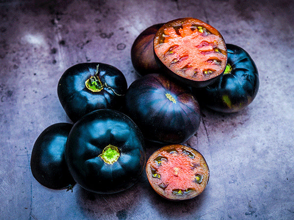 Black Beauty Tomato